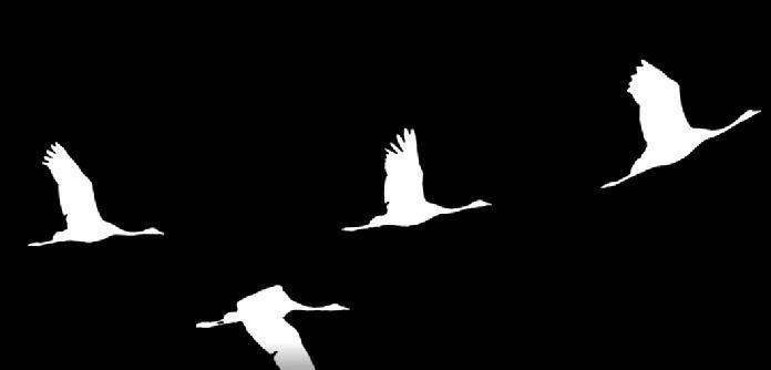 Томская область присоединилась к акции «Журавли»